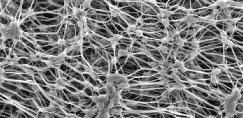 日皮视频APP在线看黄机