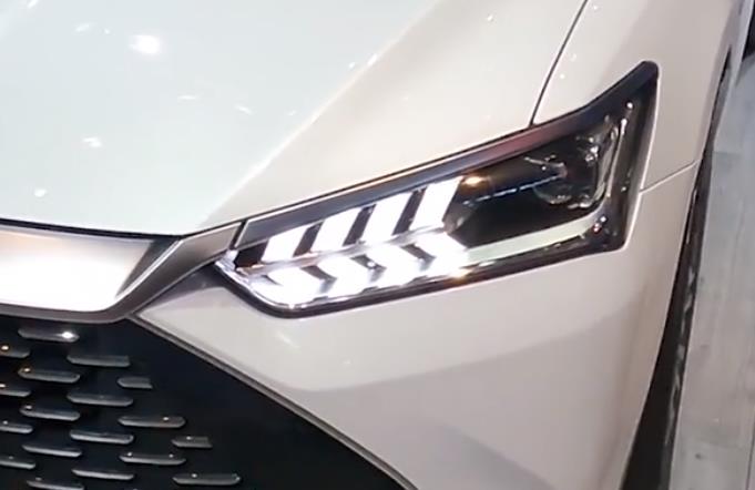 射流日皮视频APP在线看黄机