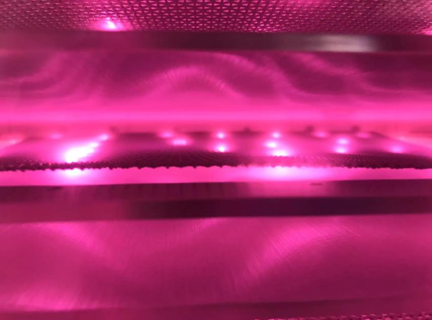 日皮视频APP在线看黄机