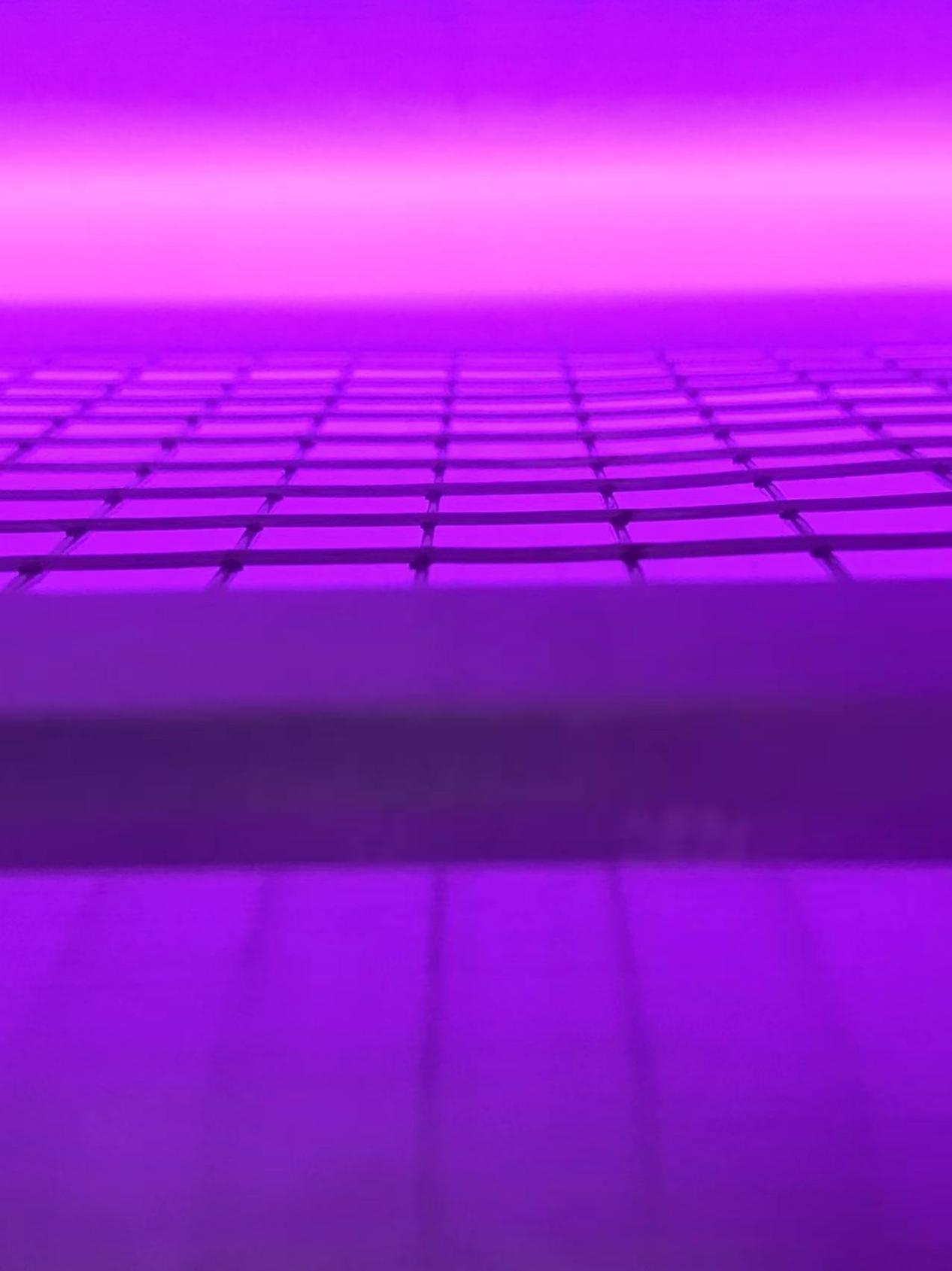 真空日皮视频APP在线看黄机