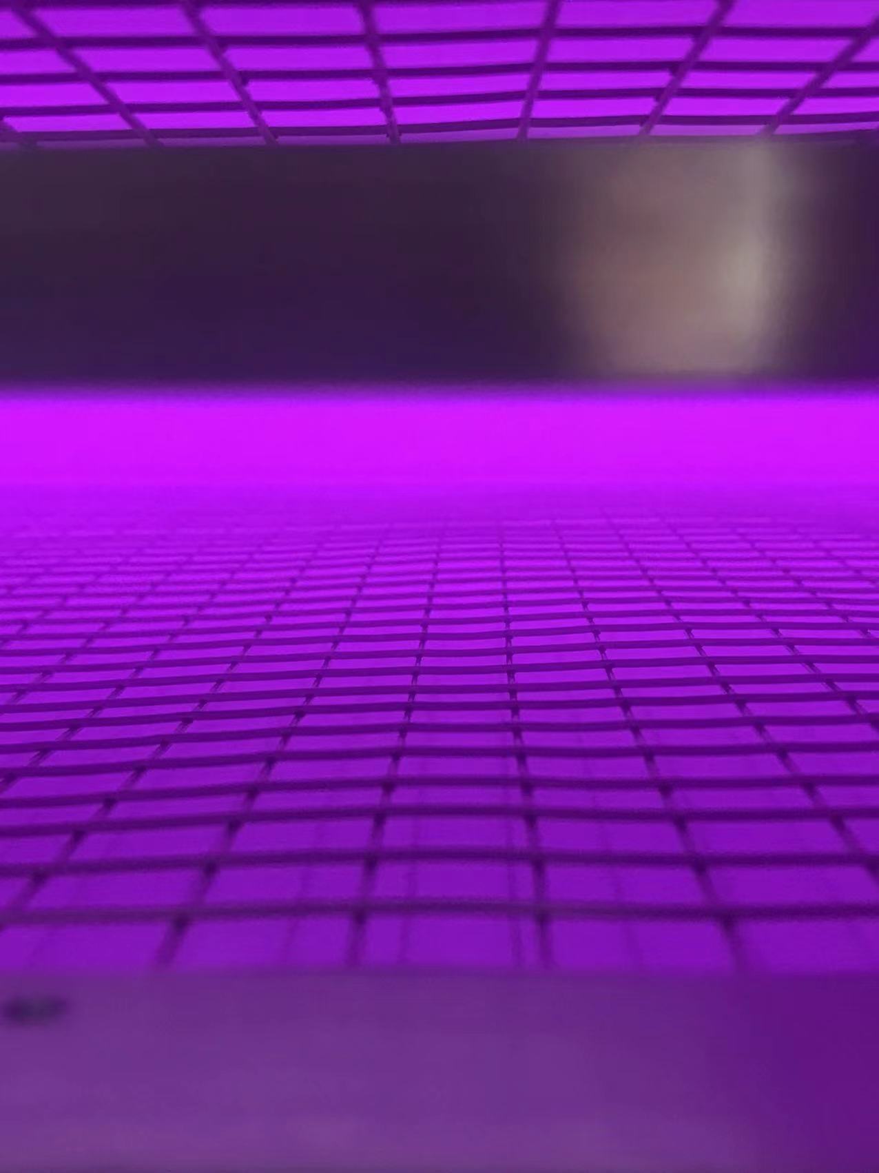 低温日皮视频APP在线看黄机