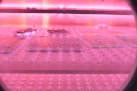 真空日皮视频APP在线看黄机