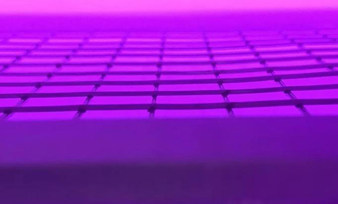 真空日皮视频APP在线看黄机