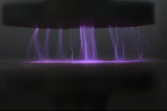 日皮视频APP在线看黄机