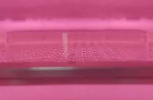 日皮视频APP下载安装仪