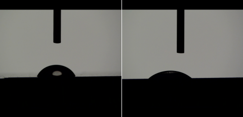 日皮视频APP在线看黄处理后变化