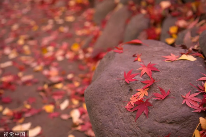 今日立冬，又一重要节气-日皮视频免费看软件日皮视频APP在线看黄机