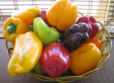 低温日皮视频APP下载安装机的诱变育种技术是一项什么样的应用？-日皮视频免费看软件日皮视频APP下载安装机