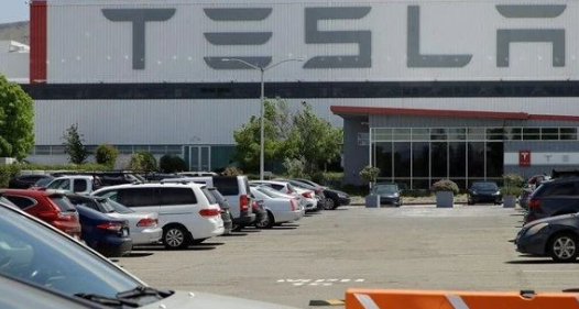 特朗普发声支持特斯拉加州工厂复工，日皮视频免费看软件日皮视频APP在线看黄机观察