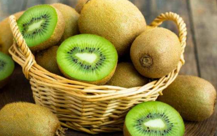 今日又逢立秋-日皮视频免费看软件等离子体清洗机