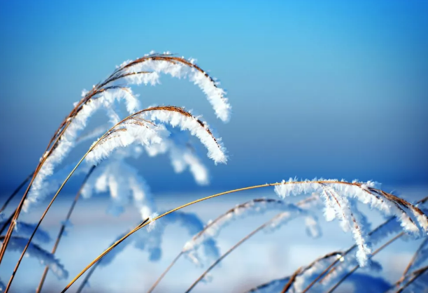 冬至悄然而至，这三招你知道吗？-日皮视频免费看软件日皮视频APP在线看黄机