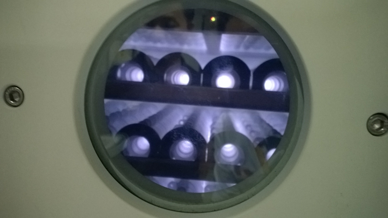 日皮视频免费看软件