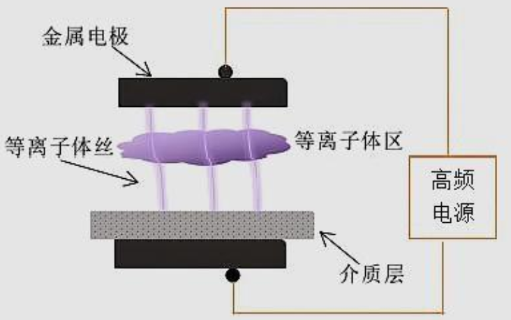 日皮视频免费看软件